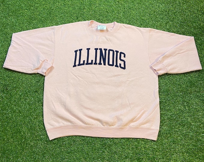 Vintage University of Illinois Crewneck Sweatshirt Champion Size XL NCAA College Football 1990s 90s Pink Pull Over Oversized