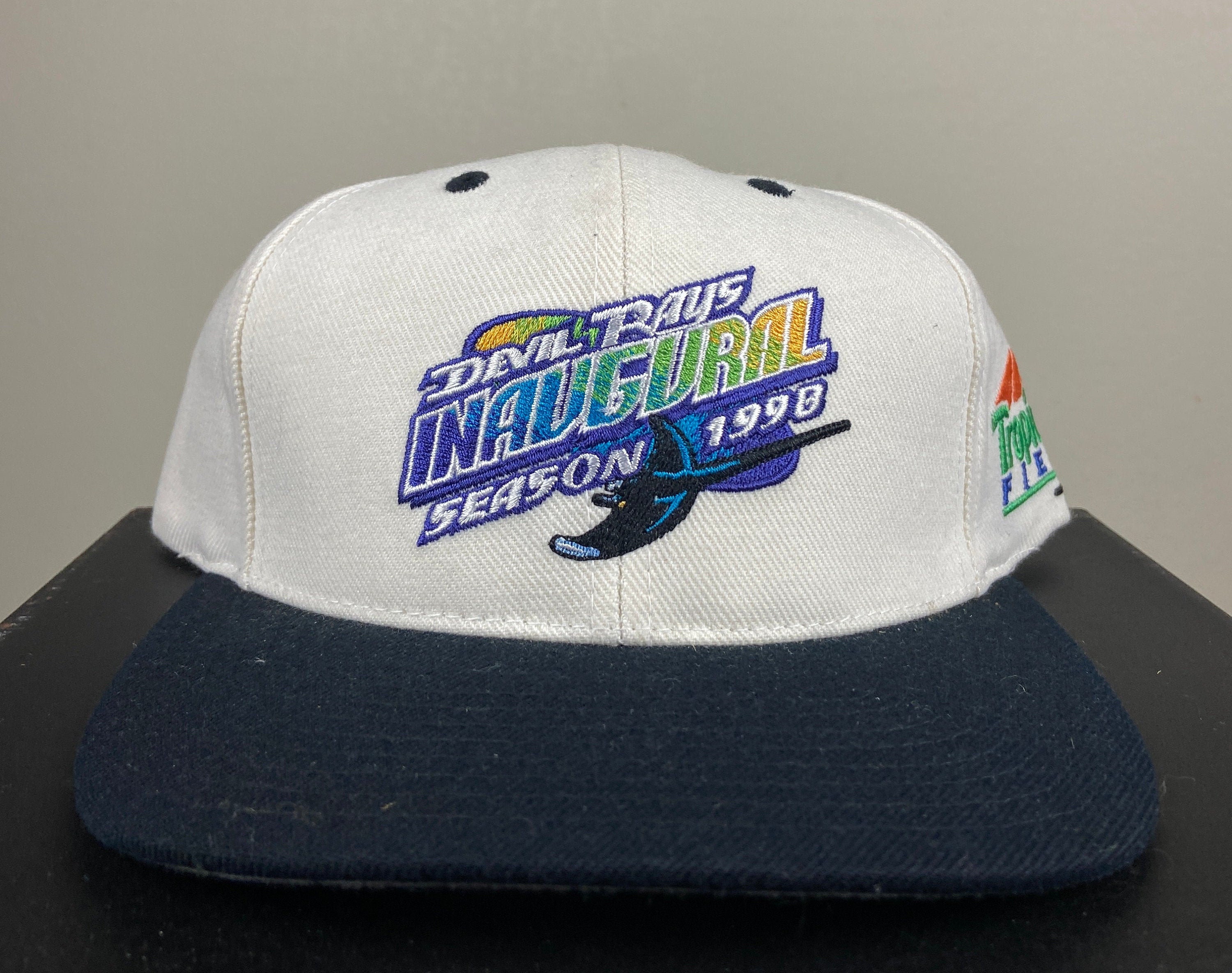 Vintage Tampa Bay Devil Rays 1998 Inaugural Season Snapback Hat Twins  Enterprise Inc MLB Baseball Bucs Florida 1990's 90's