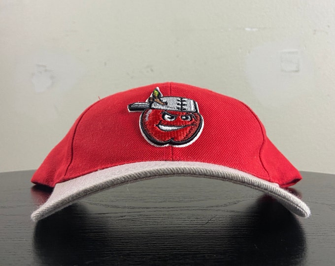 Vintage Fort Wayne TinCaps Snapback Hat OSFA Minor League Baseball MLB Indiana San Diego Padres 1990s 90s