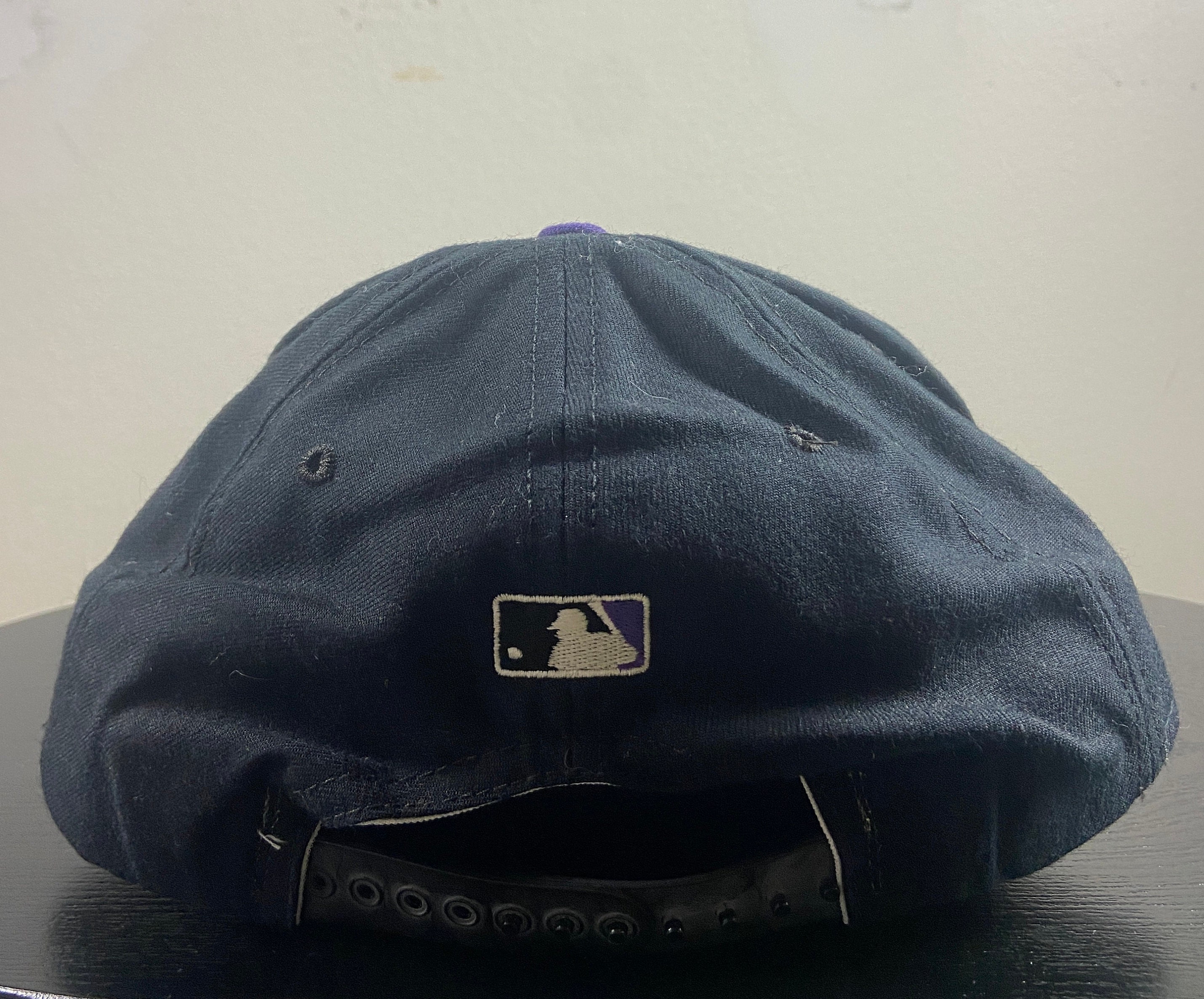 Vintage Tampa Bay Devil Rays Snapback Hat Cap MLB 90s Snap Back World Series TB Baseball