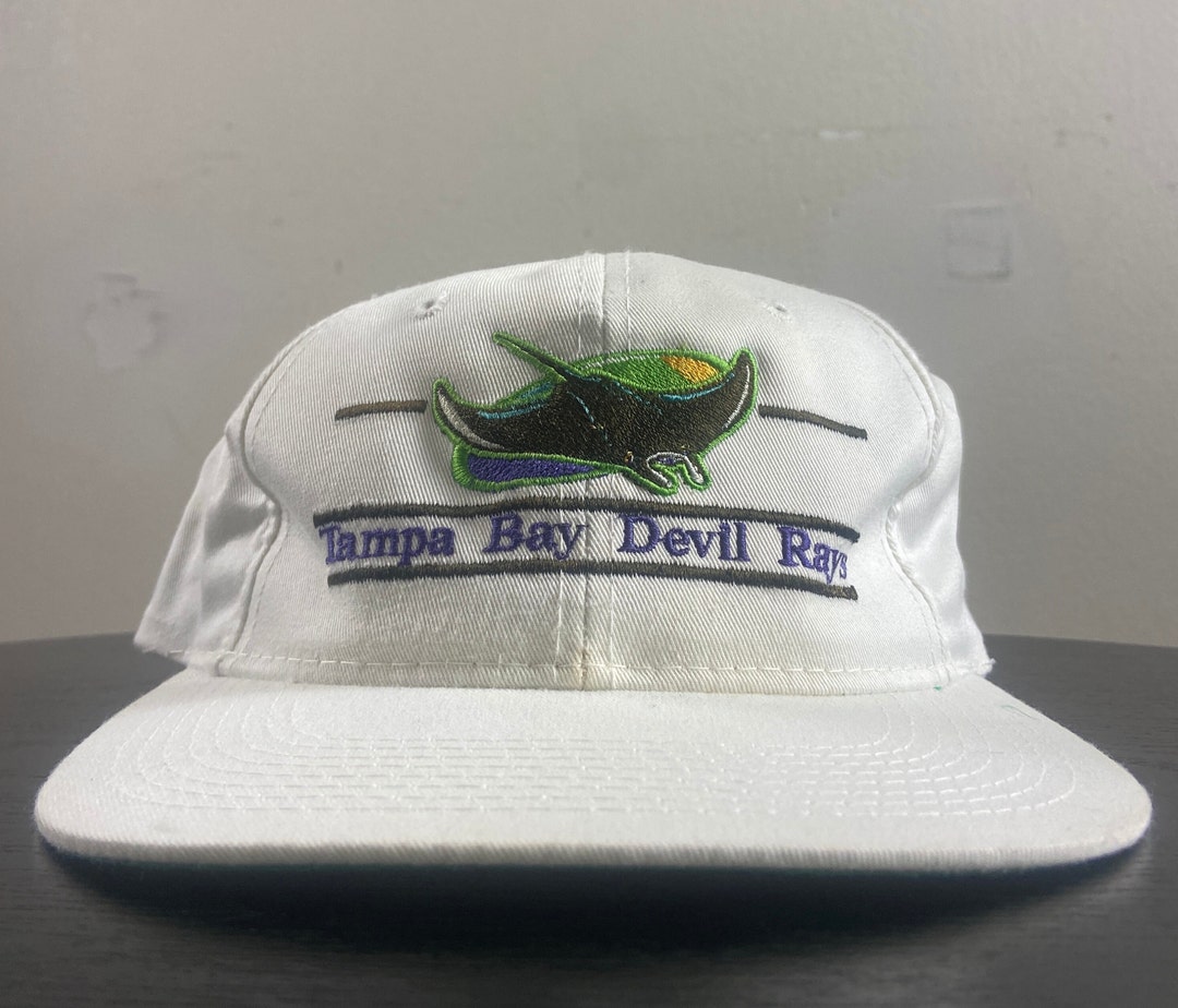 Vintage Tampa Bay Devil Rays Snapback Hat the Game OSFA MLB Baseball ...