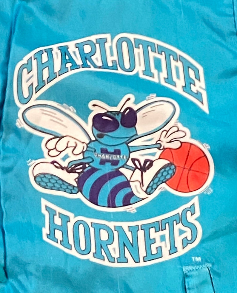 Vintage Charlotte Hornets bomberjacka Chalk Line Tillverkad i USA Storlek Medium M NBA Basketball North Carolina NC J. Cole 1990-talet 90-talet bild 5