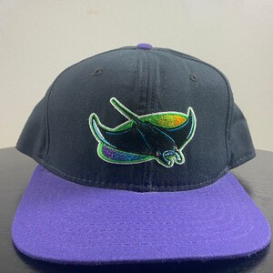 May include: A black and purple baseball cap with a colorful stingray logo on the front.