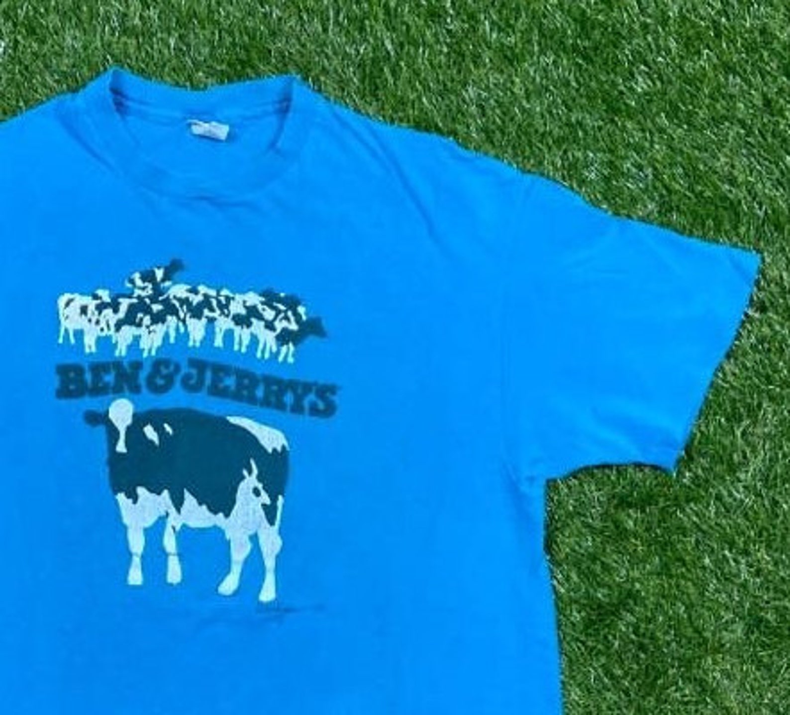 Vintage Ben and Jerry's T Shirt Tee Hanes Made USA Size | Etsy