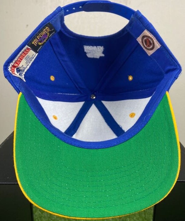 Vintage St. Louis Blues The Game Snapback Hockey Hat – Stuck In