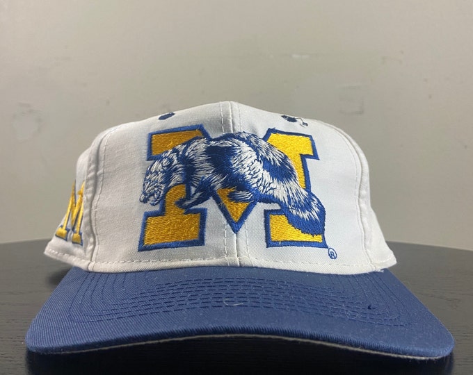 Vintage University of Michigan Wolverines Fitted Hat Size 7 3/8 NCAA College Football Detroit 1990s 90s