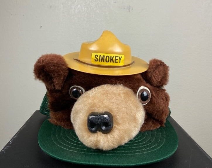 Vintage Smokey the Bear Snapback Hat 