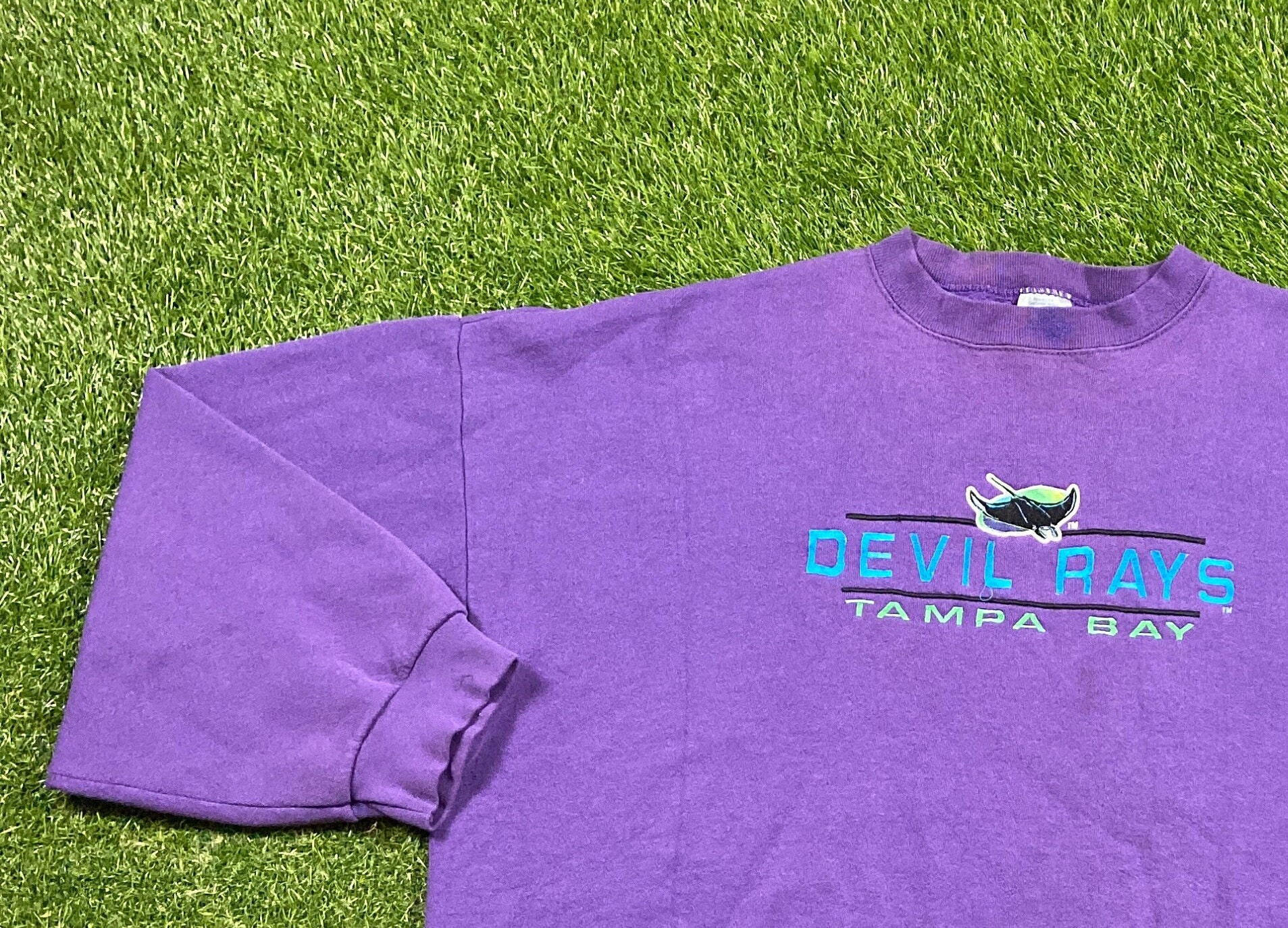 tampa bay devil rays purple