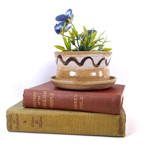 May include: A small, tan ceramic planter with a wavy brown design and a matching saucer, holding artificial blue flowers. The planter sits atop two antique books with titles visible: "History of the English People" and "The Pride of Palomar."