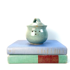 May include: A light blue ceramic garlic keeper with a lid and handle, featuring four small holes. It sits atop two vintage books, one blue and one green, against a white background.
