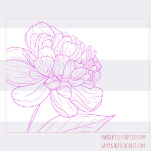 K&ouml;nnte beinhalten: Eine Linienzeichnung einer rosa Pfingstrose mit detaillierten Bl&uuml;tenbl&auml;ttern und Bl&auml;ttern. Die Blume ist nach rechts gerichtet.