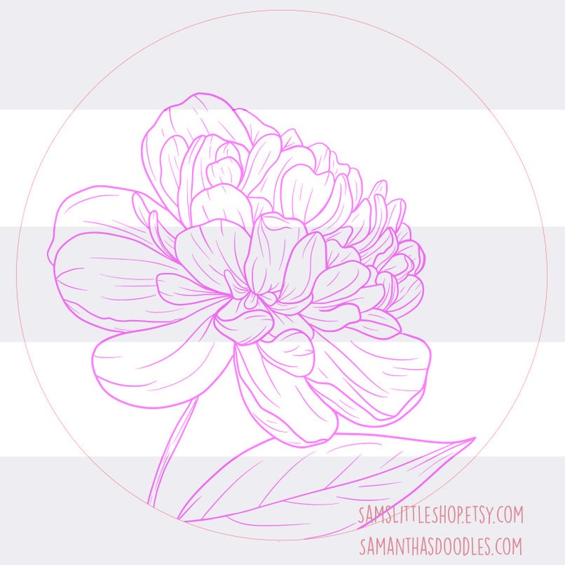 K&ouml;nnte beinhalten: Eine Linienzeichnung einer rosa Pfingstrose mit Bl&auml;ttern. Die Blume befindet sich in einem Kreis und der Hintergrund ist hellgrau.
