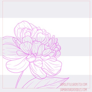 K&ouml;nnte beinhalten: Eine Linienzeichnung einer rosa Pfingstrose mit Bl&auml;ttern. Die Blume ist in voller Bl&uuml;te und hat viele Bl&uuml;tenbl&auml;tter. Die Zeichnung ist auf wei&szlig;em Hintergrund.
