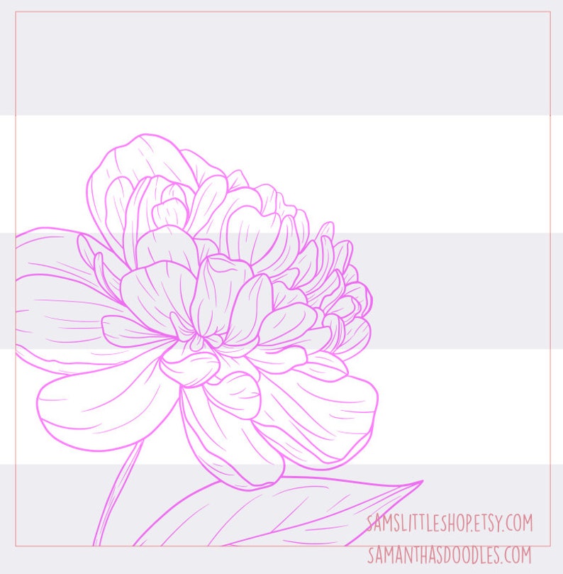 K&ouml;nnte beinhalten: Eine Linienzeichnung einer rosa Pfingstrose mit Bl&auml;ttern. Die Blume ist in voller Bl&uuml;te und hat viele Bl&uuml;tenbl&auml;tter. Die Zeichnung ist auf wei&szlig;em Hintergrund.