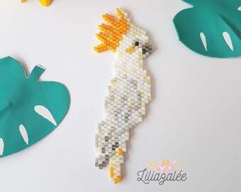 Diagram cockatoo crested yellow PDF