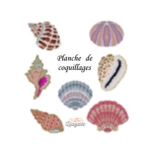 Diagramas de gráficos de conchas en PDF