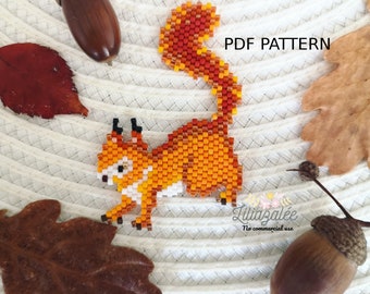 Squirrel diagram PDF