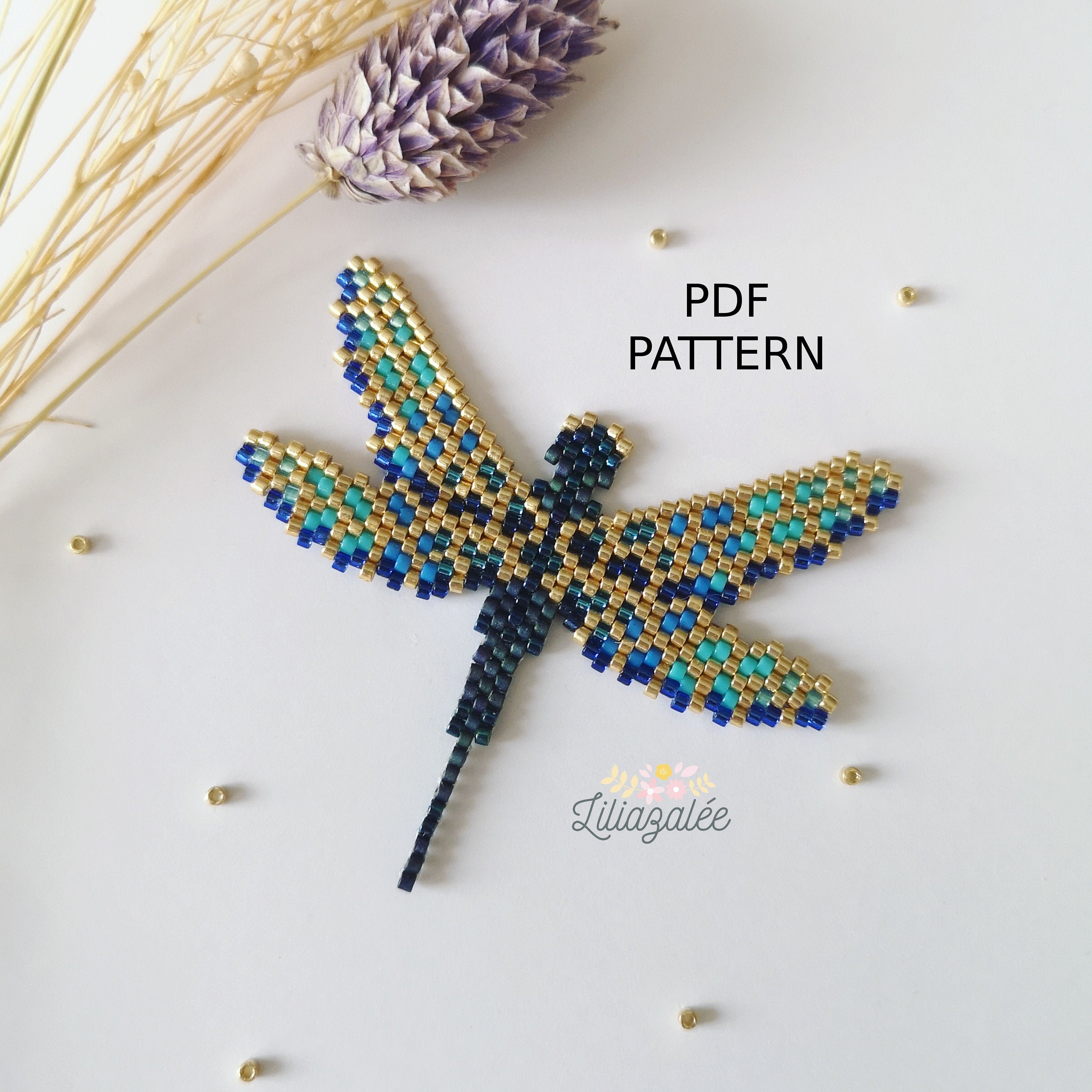 Blue Dragonfly Diagram PDF