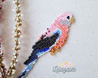 Pattern parakeet miyuki