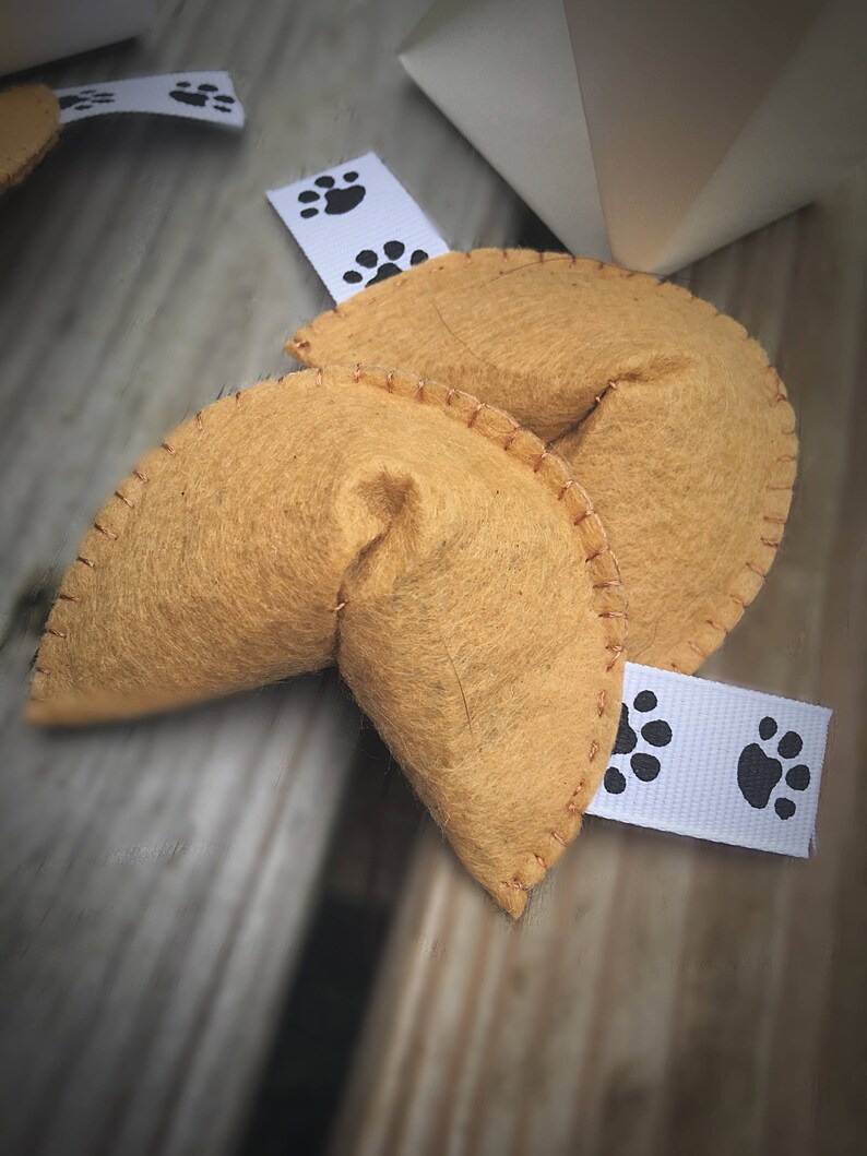 Organic Catnip Fortune Cookies Cat Toy Cat Lover Gift Etsy