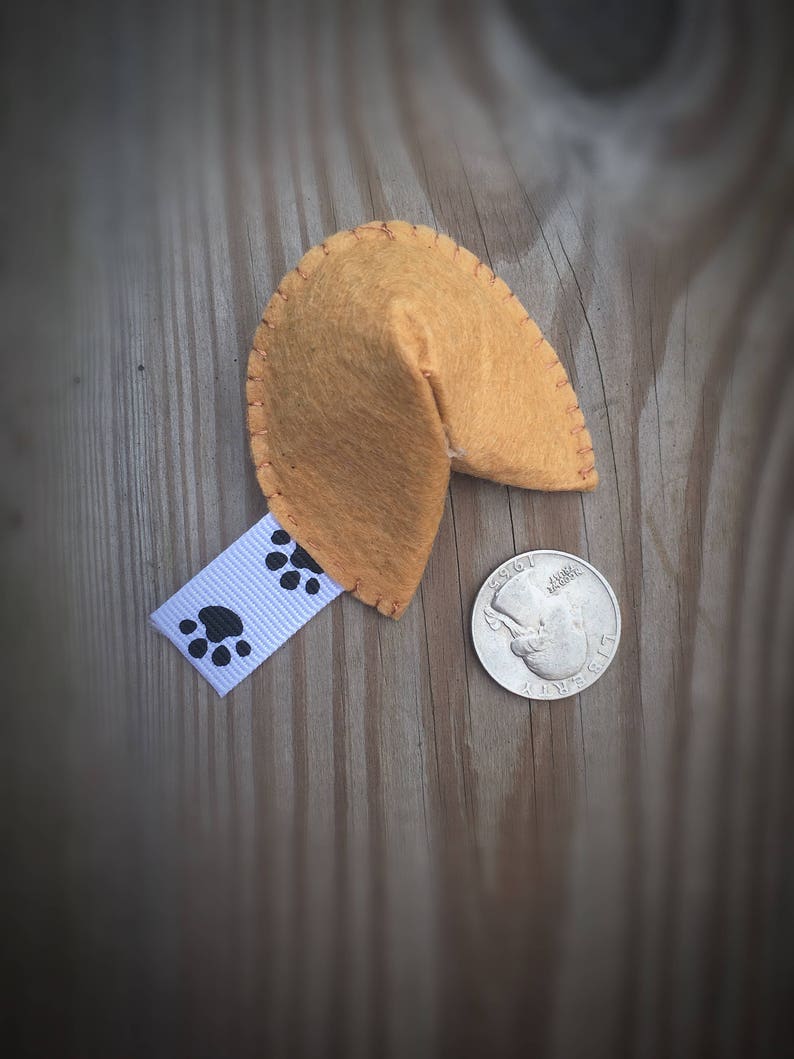 Organic Catnip Fortune Cookies Cat Toy Cat Lover Gift Etsy