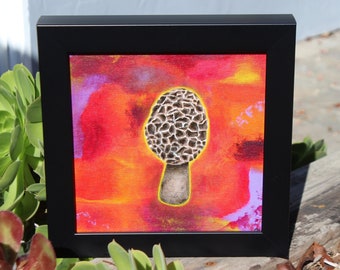Morel Paddenstoel Schilderij