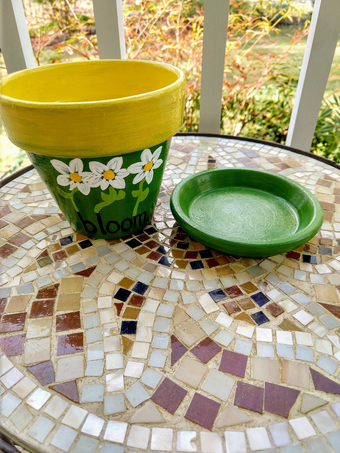 Indoor Outdoor Hand Painted Clay Pot and Saucer, Painted Planter, Daisy