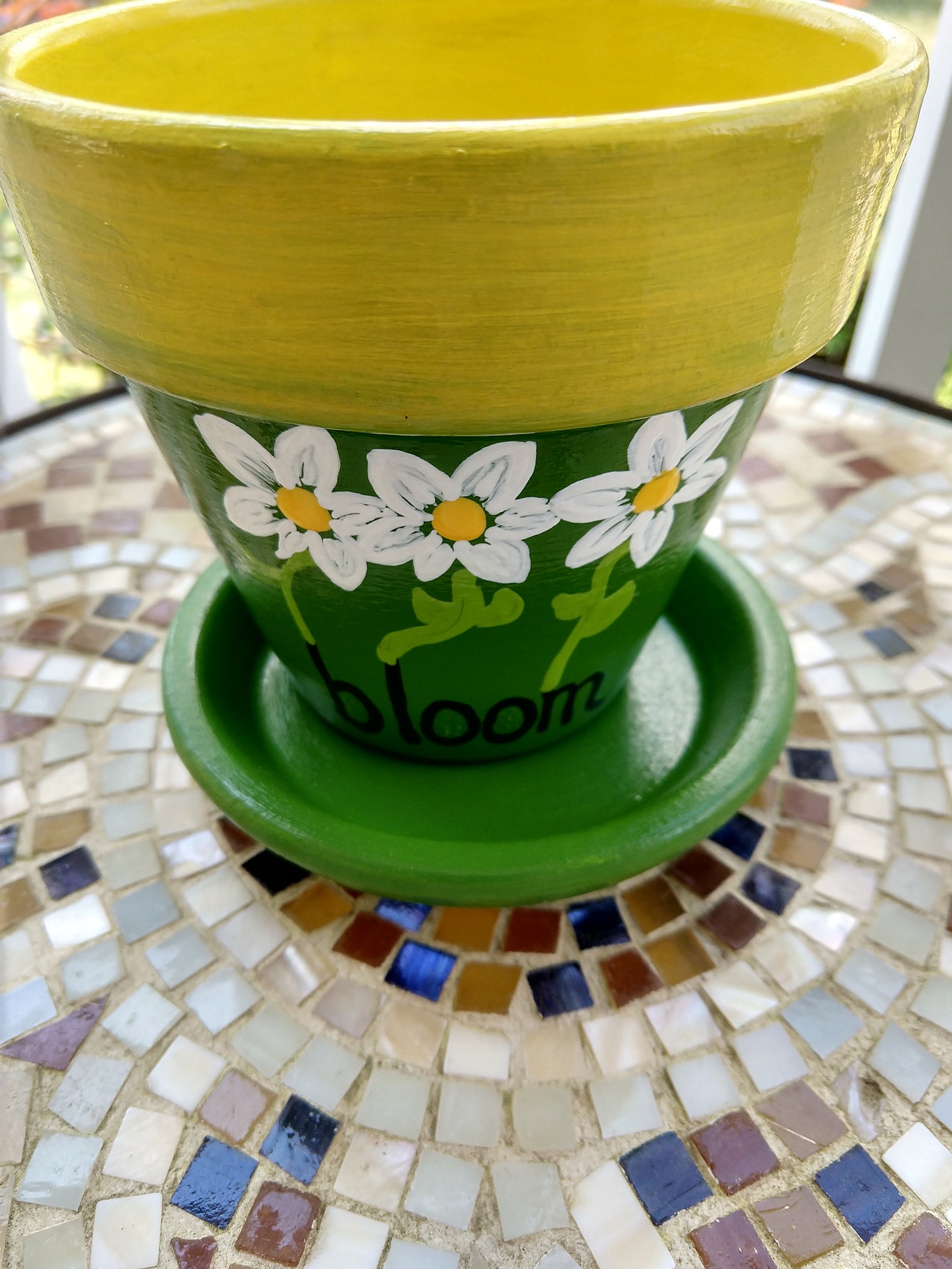 Indoor Outdoor Hand Painted Clay Pot and Saucer, Painted Planter, Daisy