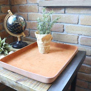 K&ouml;nnte beinhalten: Ein braunes Ledertablett mit einem hellbraunen Wildlederinnenraum steht auf einem Holztisch. Eine kleine Topfpflanze mit gr&uuml;nen Bl&auml;ttern und ein Globus stehen auf dem Tisch.