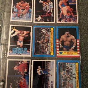 May include: Nine trading cards featuring wrestlers from the World Wrestling Federation (WWF). The cards are in a binder and feature wrestlers such as Rick Martel, Jimmy Hart, Mr. Perfect, Hercules, Tama, The Magnificent Muraco, Akeem, and the Islanders.