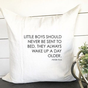 Little Boys Should Never Be Sent to Bed Pillow Cover, 18 x 18 Cover, Boy nursery pillow decor, baby gift