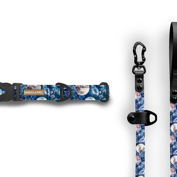 Lunar Crystals Walk Kit FI Compatible Series 2 Series 3 Adventure Dog Collar + 5ft Leash | Handmade Durable Heavy Duty Waterproof BioThane