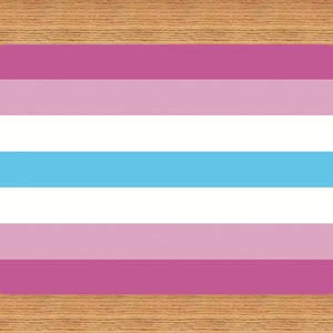 FEMBOY Lifetime Membership Card Gay Pride Card LGBT Identity Card perfect rainbow community gift image 4