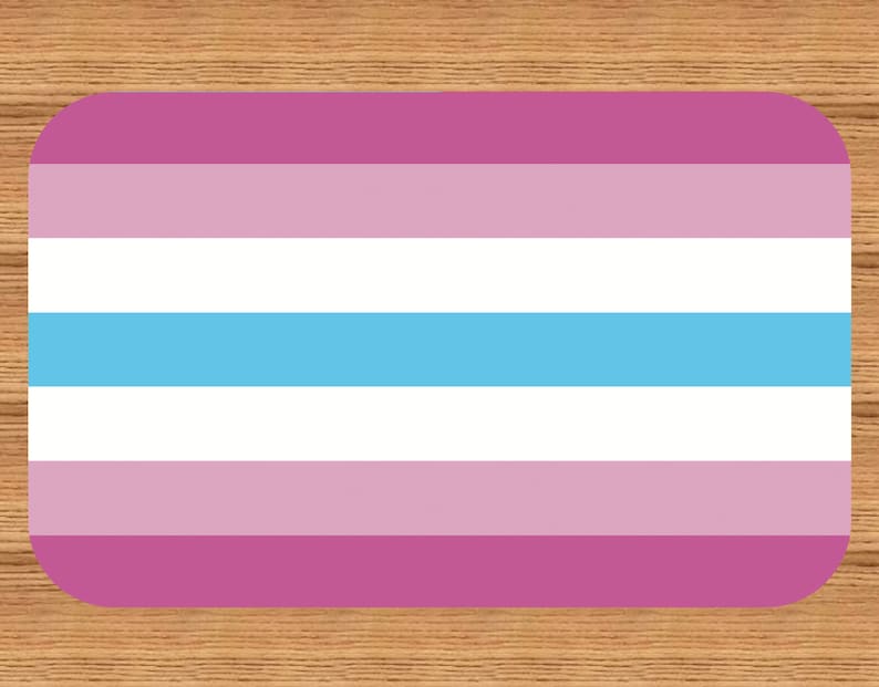 FEMBOY Lifetime Membership Card Gay Pride Card LGBT Identity Card perfect rainbow community gift image 4