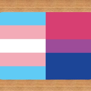 Double Identity LGBTQIA Lifetime Membership Card Gay Pride Card LGBT Identity Card perfect rainbow community gift image 5