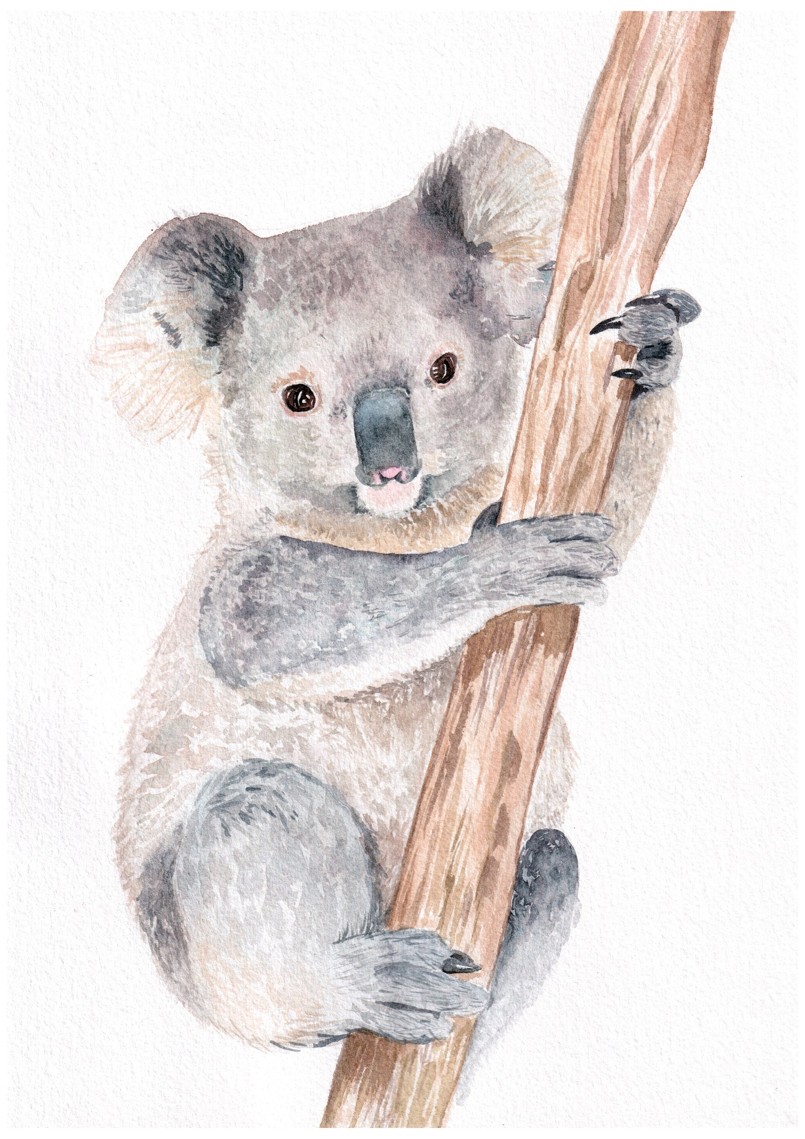 Koala art print watercolour koala painting nursery wall art Etsy