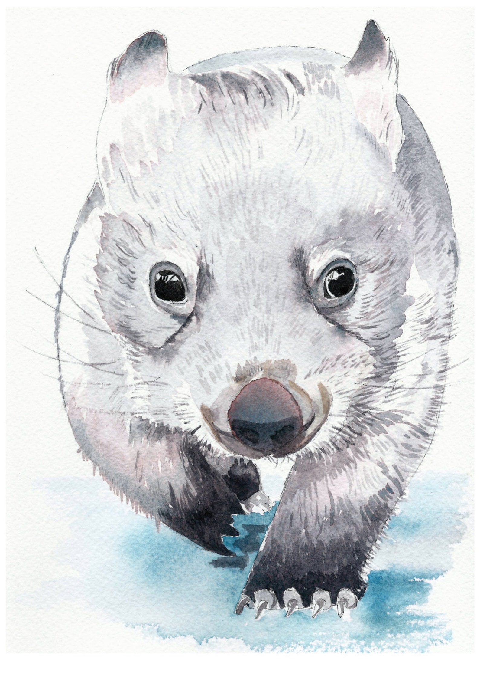 Watercolour wombat fine art print baby animal artwork Etsy