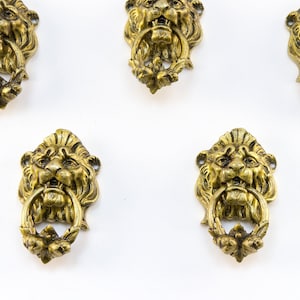 Lion Head Ring Pull Handles, Set of 5