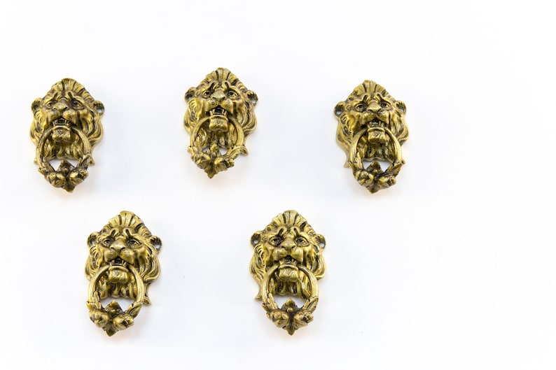 Lion Head Ring Pull Handles, Set of 5 Etsy