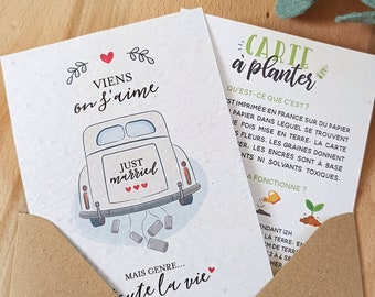 Carte à planter Just married pour cadeau de mariage