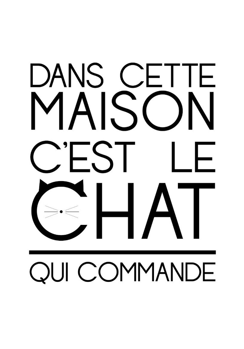 Chat, Affiche chat, Décoration chat, Citation chat, Cadeau chat image 3
