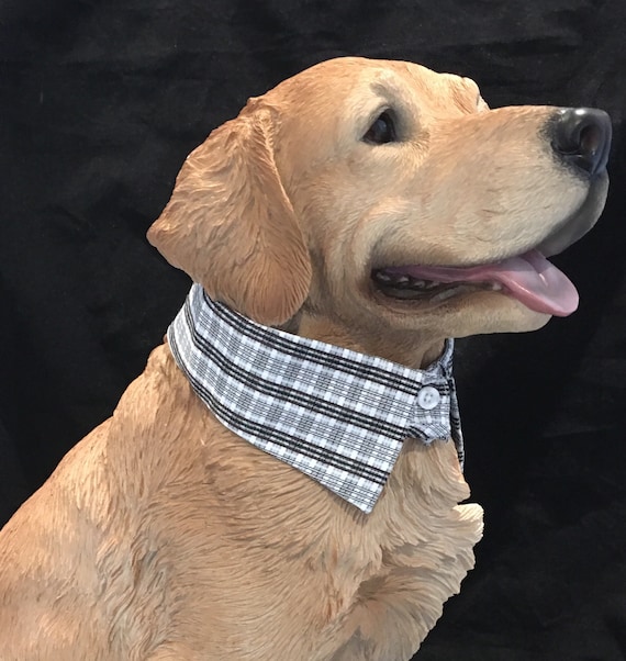 Designer Dress Collar Shirt for Dogs - Etsy