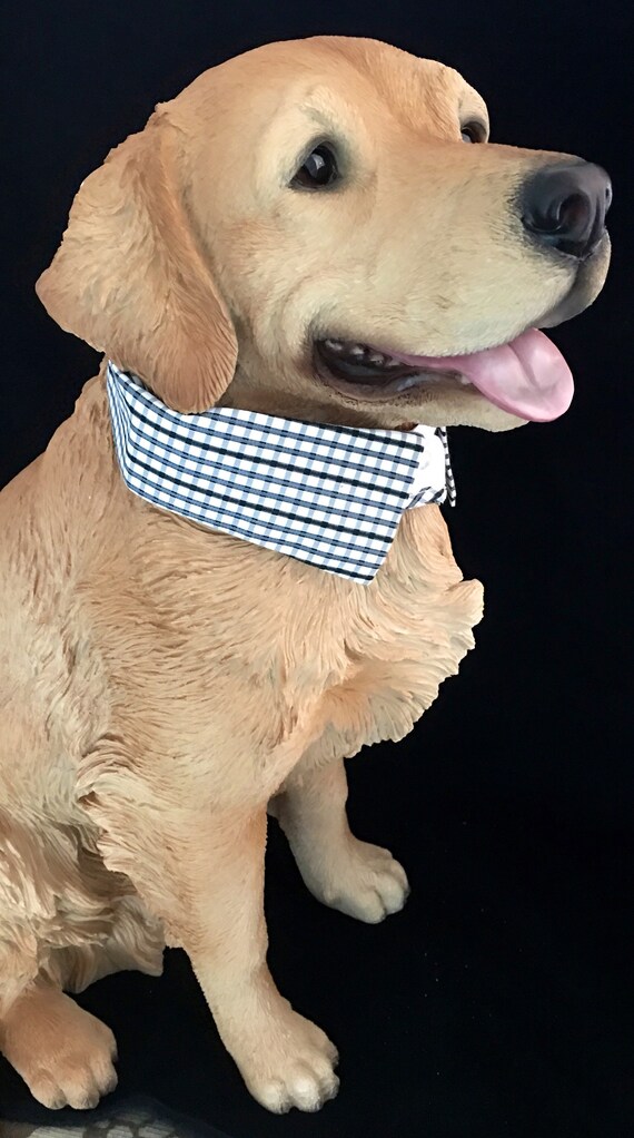 dog collar dress
