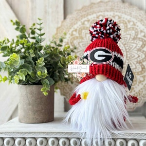 College Sports Knit Gnome: Tiered Tray Decor