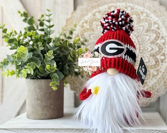 Sports gnome, College gnome, Tiered tray decor, Coffee gnome, Knit gnome, Gift idea, Gnome decor,