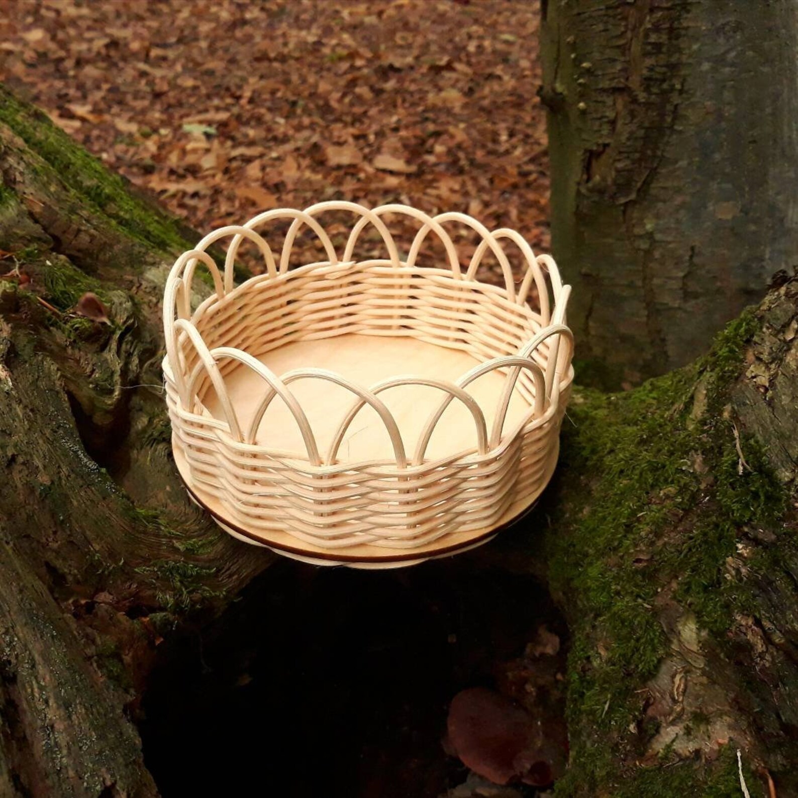 DIY Basketry Kit for Beginners Round Basket Rattan/centre Etsy