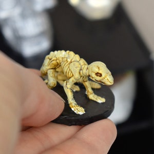 Miniature rat skeleton for model doll, poppy parker, bjd, minifee, MSD, feeple, SD dolls, smart doll, iplehouse FID