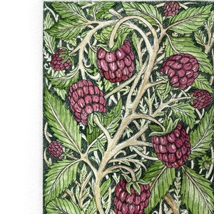 May include: A watercolor illustration of a raspberry patch with green leaves and red raspberries. The image is titled "Raspberry Patch" and signed "Amane 2020".