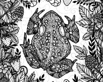 Toad Folk - 8x10 Black and White Reproduction of Original Ink Drawing - Limited Edition of 50