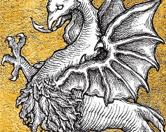 Cockatrice - 5x7 Reproduction of Original Pen & Ink Drawing - Printed Gold Leaf - Limited Edition of 50 - Actual Image Size: 2x3.